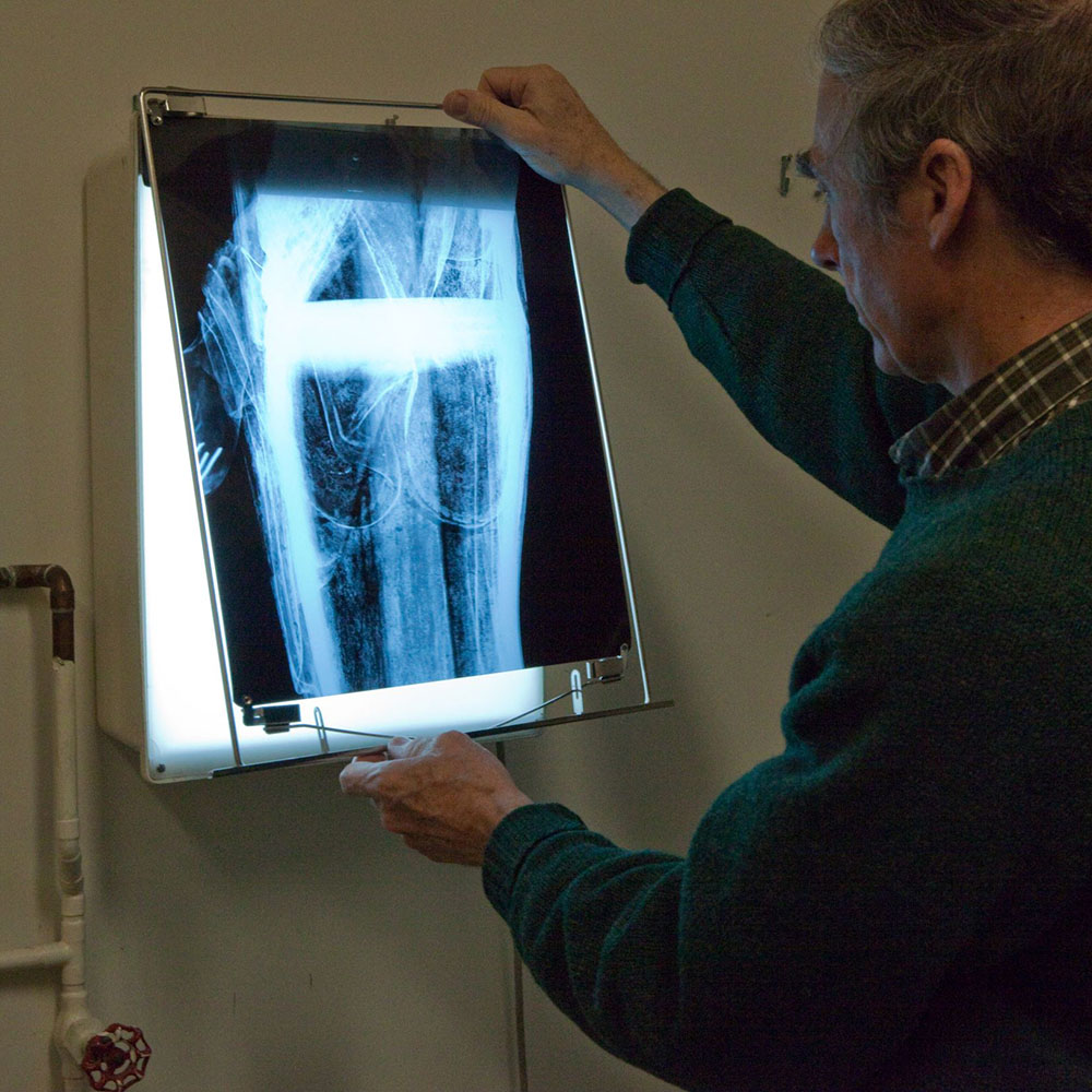 https://give.aamstage.org/wp-content/uploads/sites/8/2020/09/1-Mark-studying-x-ray-L.jpg 1x, https://give.aamstage.org/wp-content/uploads/sites/8/2020/09/1-Mark-studying-x-ray-L.jpg 2x