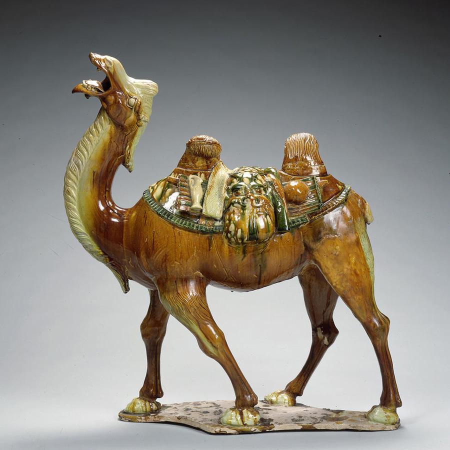 https://give.aamstage.org/wp-content/uploads/sites/8/2024/04/SeptLecture_Camel_900x.jpg 1x, https://give.aamstage.org/wp-content/uploads/sites/8/2024/04/SeptLecture_Camel_900x.jpg 2x